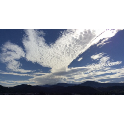 3展翅高飛的雲.png